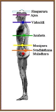 History and Origins Where Do the Chakra Colors Come From