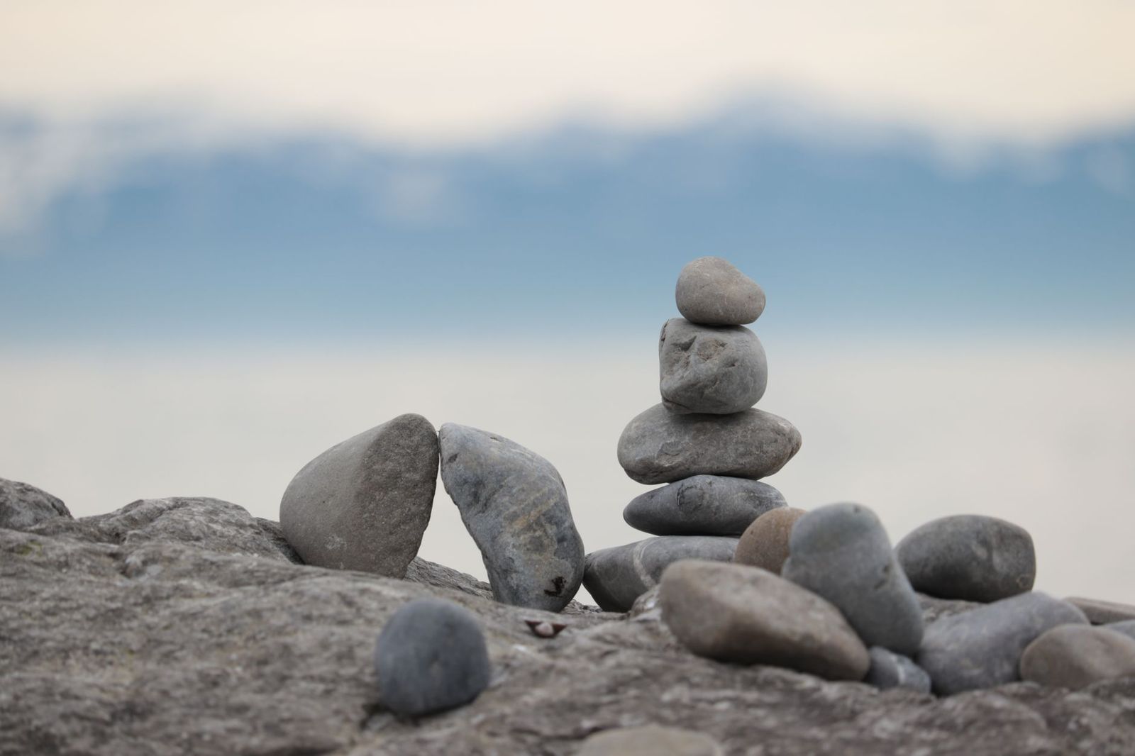 What each element governs