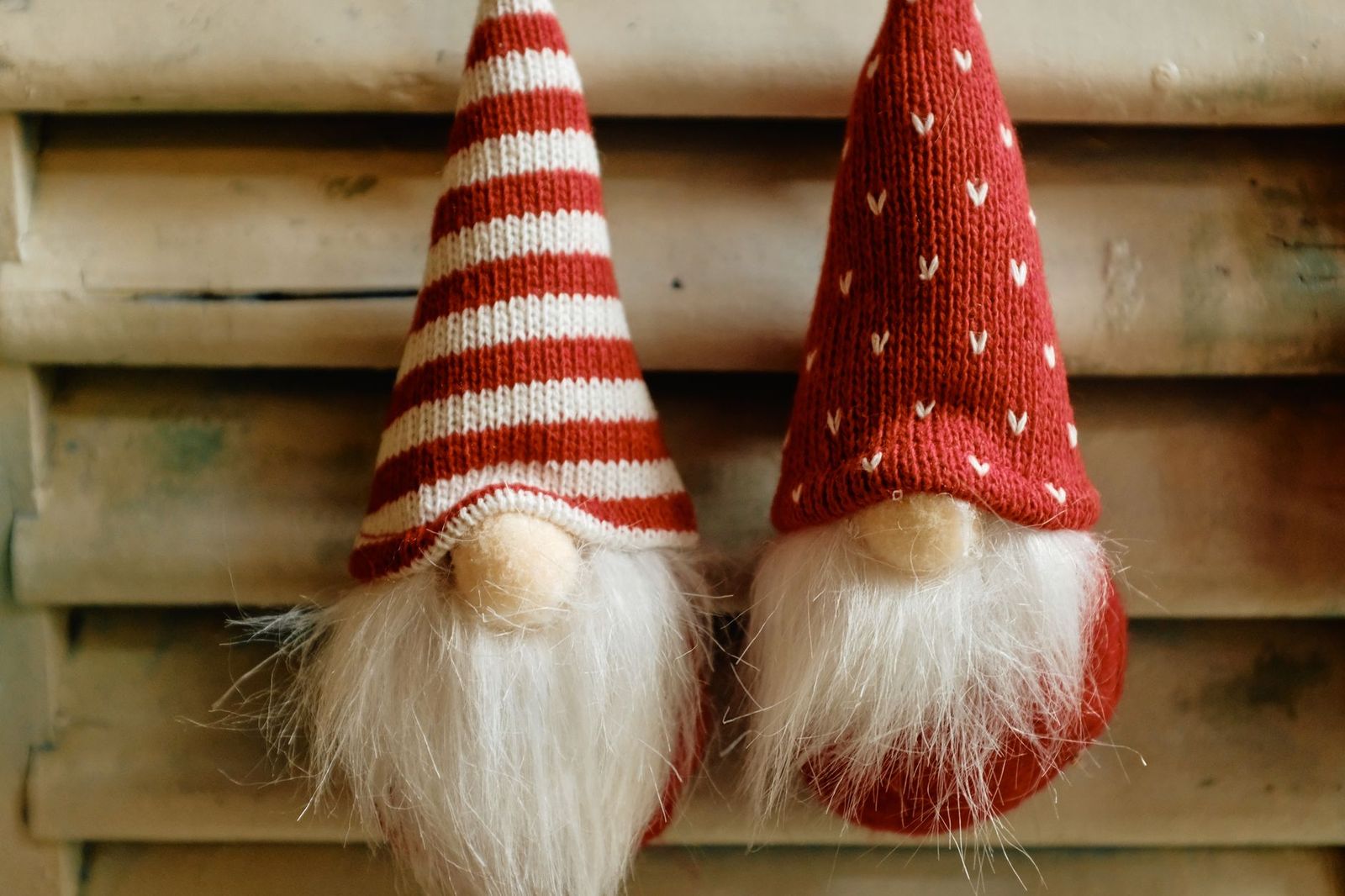 What Are Gnomes, Exactly