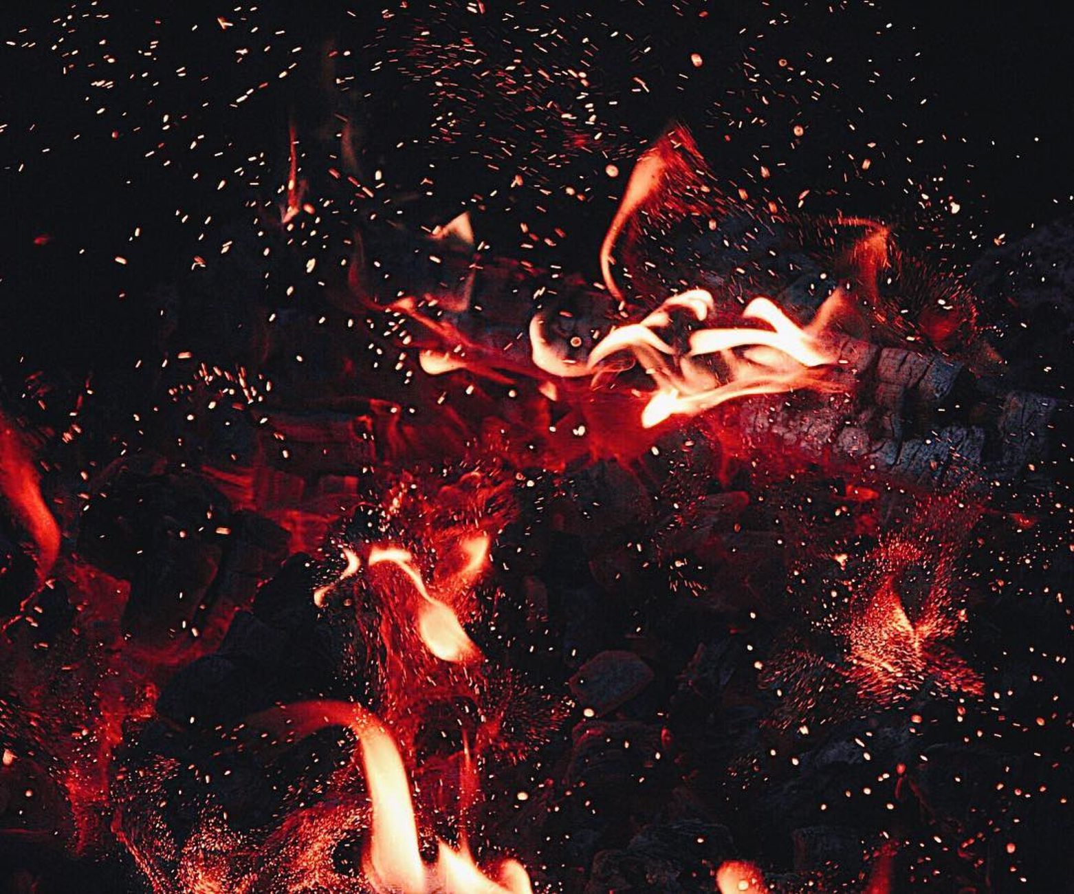 Where the Four Element System Comes From