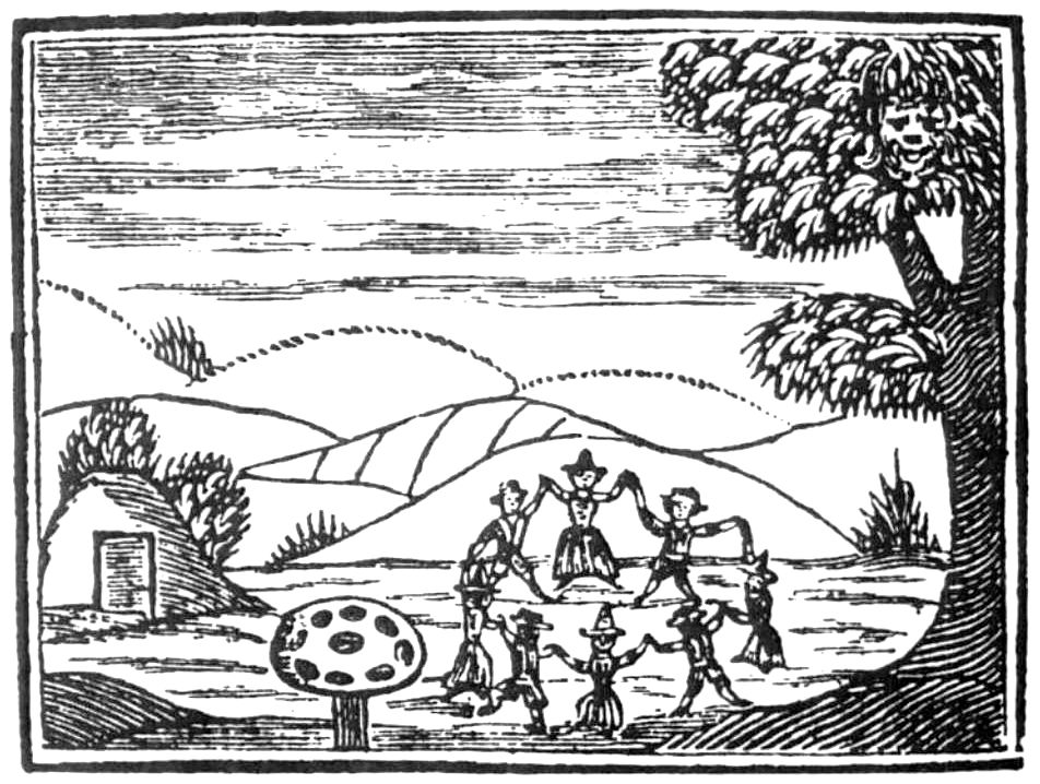 Where Did Fairy Law Come From