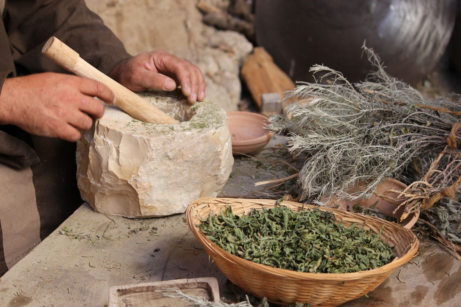 Historical and Medicinal Uses Compared