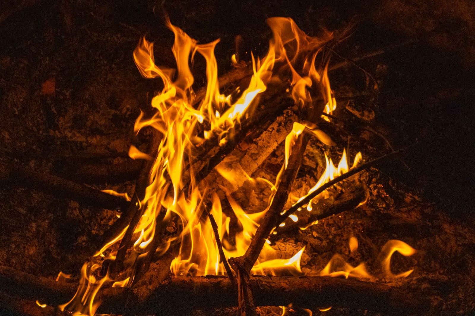 Where Did Holy Fire Reiki Come From