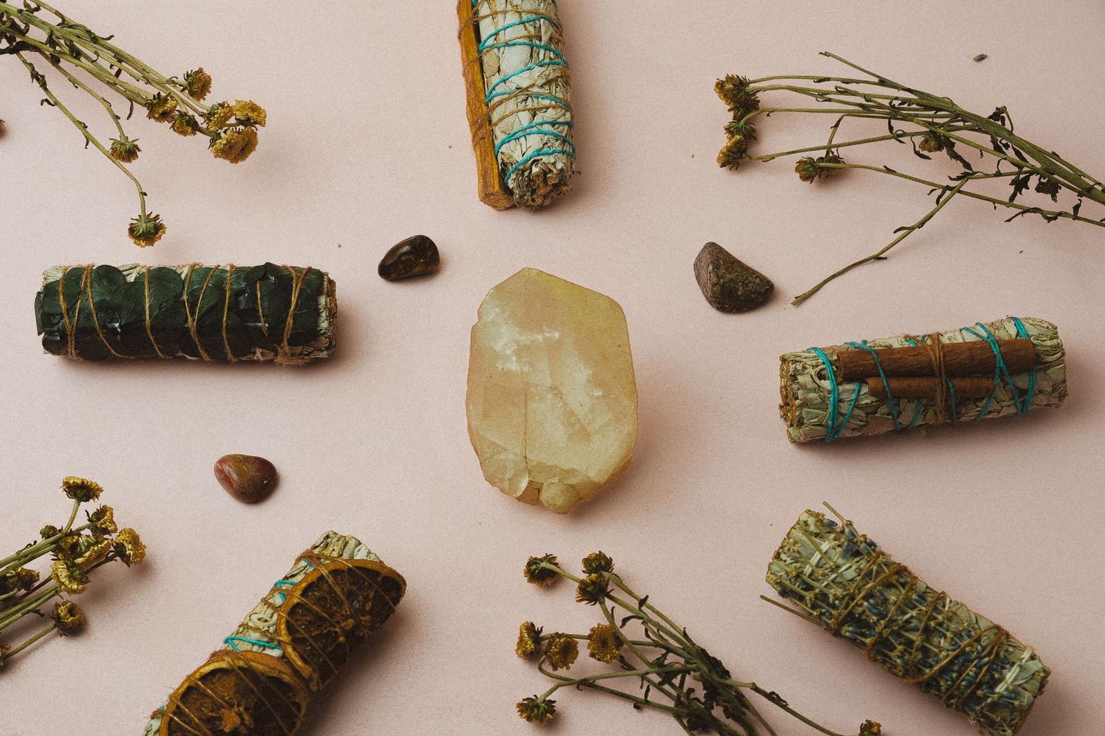 Mugwort vs sage: which herb is more beneficial?